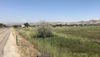 2213 State Hwy 52 photo